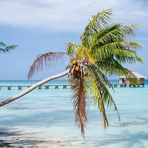 https://sunset-hill-lodge.frenchpolynesia-hotels.com